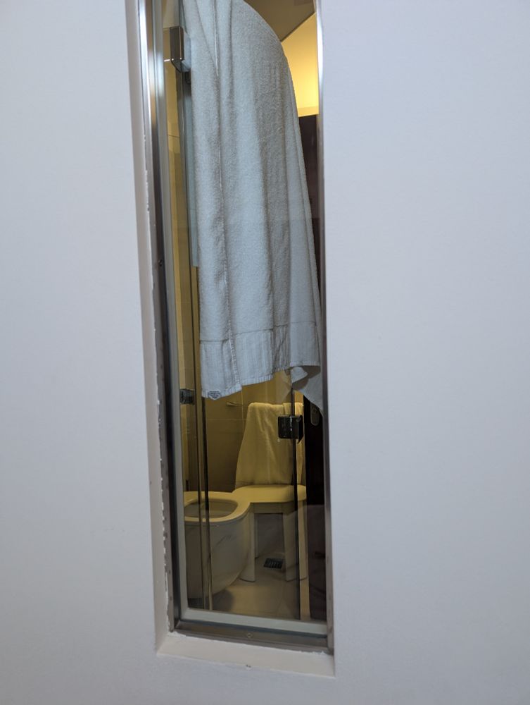 Foto de um banheiro com uma toalha pendurada na porta do box 