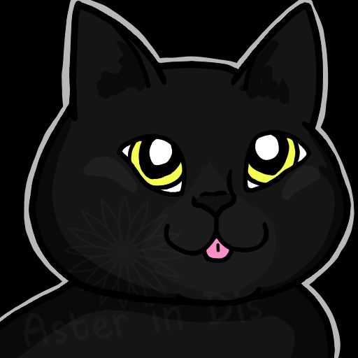 A round faced black cat is sticking out her tongue in a blep. She looks very happy.