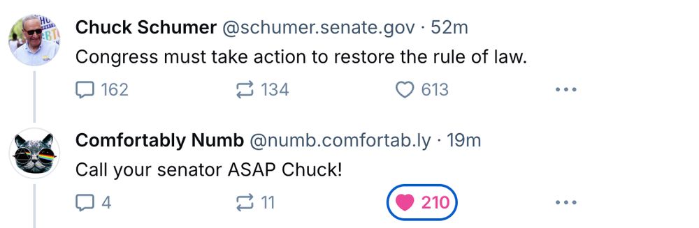 Chuck Schumer posting that Congress should do something; a response reminding him THAT HE HIS BEING FUCKING USELESS, god this fucking guy 