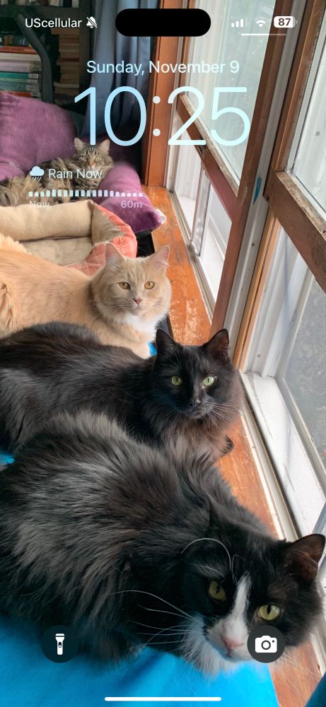 Screenshot of weather saying it’s raining now