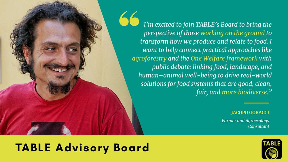 A flyer welcoming Jacopo Goracci (Farmer and Agroecology Consultant) to TABLE’s advisory board. There is a photo of Jacopo Goracci alongside a quote: “I’m excited to join TABLE’s Board to bring the perspective of those working on the ground to transform how we produce and relate to food. I want to help connect practical approaches like agroforestry and the One Welfare framework with public debate: linking food, landscape, and human–animal well-being to drive real-world solutions for food systems that are good, clean, fair, and more biodiverse.”