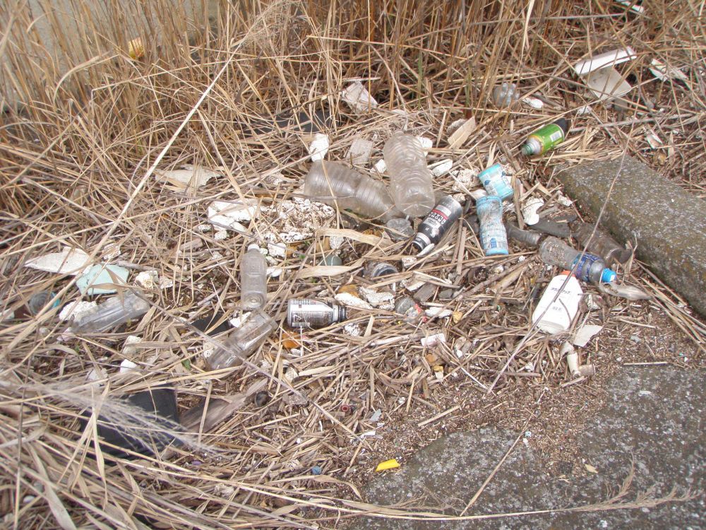 海岸、河川敷に散乱するプラスチック