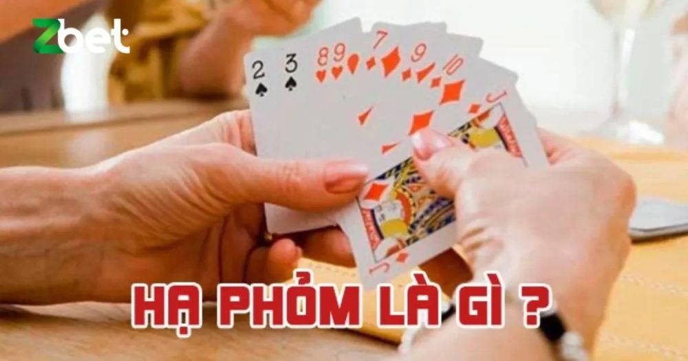 Hạ phỏm là gì? Các thuật ngữ trong hạ phỏm