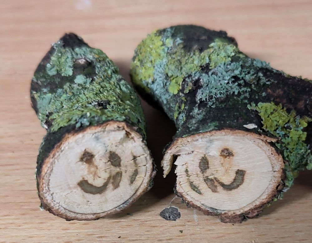 Two parts of a cut wooden branch showing smiling faces within the grain