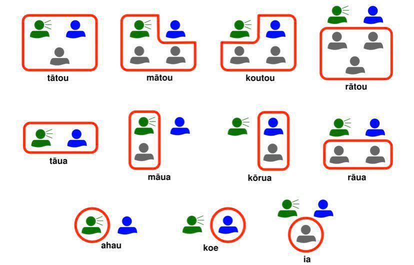 A diagram of pronouns used in te reo Māori.

What this image shows is that pronouns in the Māori language aren’t gendered, and instead reflect the number of people being spoken to, or about, or even those just listening in and not engaging in the conversation. As traditional Māori culture is communal and inclusive, this is also reflected in our language. For example, the singular third-personal pronoun ‘ia’ can mean he, she, they, or it.