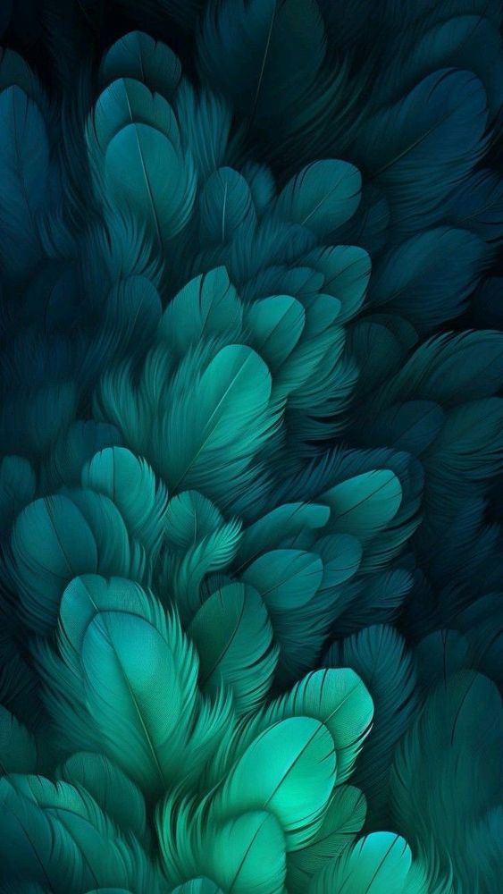 Light green/ teal gradient feather background 