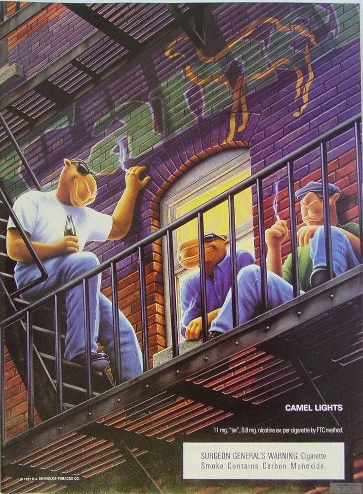 Just some good friends, enjoying a relaxing smoke on the fire escape . They happen to be camels as well 
