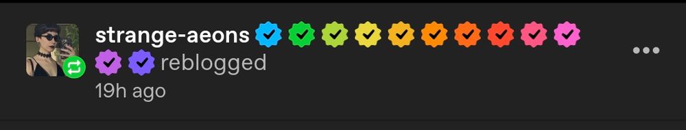 A screenshot of Father Strange and their array of colorful Important Internet Checkmarks