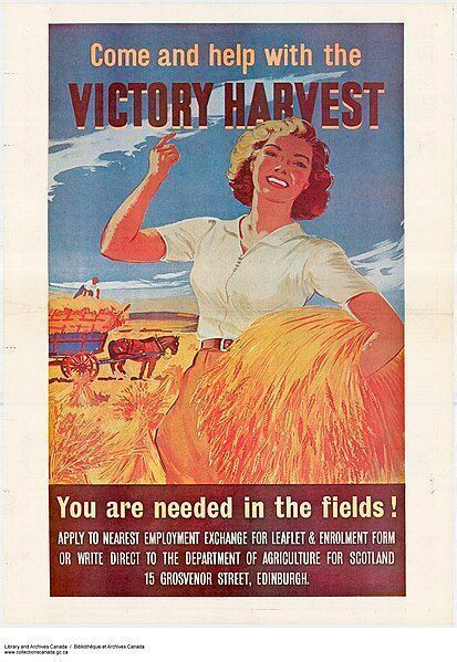 A vintage advertisement, featuring a painting of a blonde woman in a white shirt and khaki trousers holding a sheaf of wheat and raising her arm in triumph, in the background is a field of wheat and a hay wain. It reads 'Come and Help with the Victory Harvest'. image via the National Library of Canada Archives, crown copyright