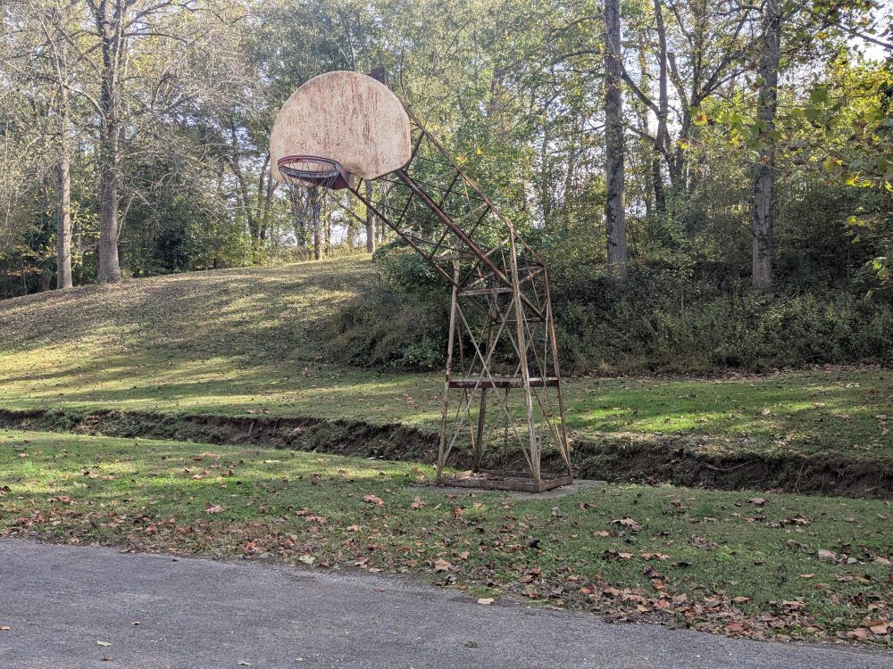A basketball hoop from the Cretaceous period