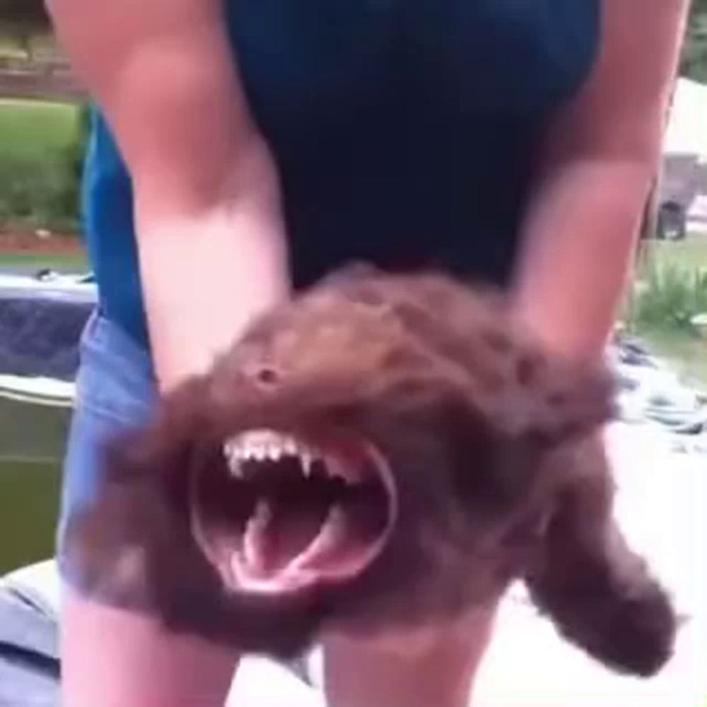 a woman is holding a brown dog with its mouth wide open