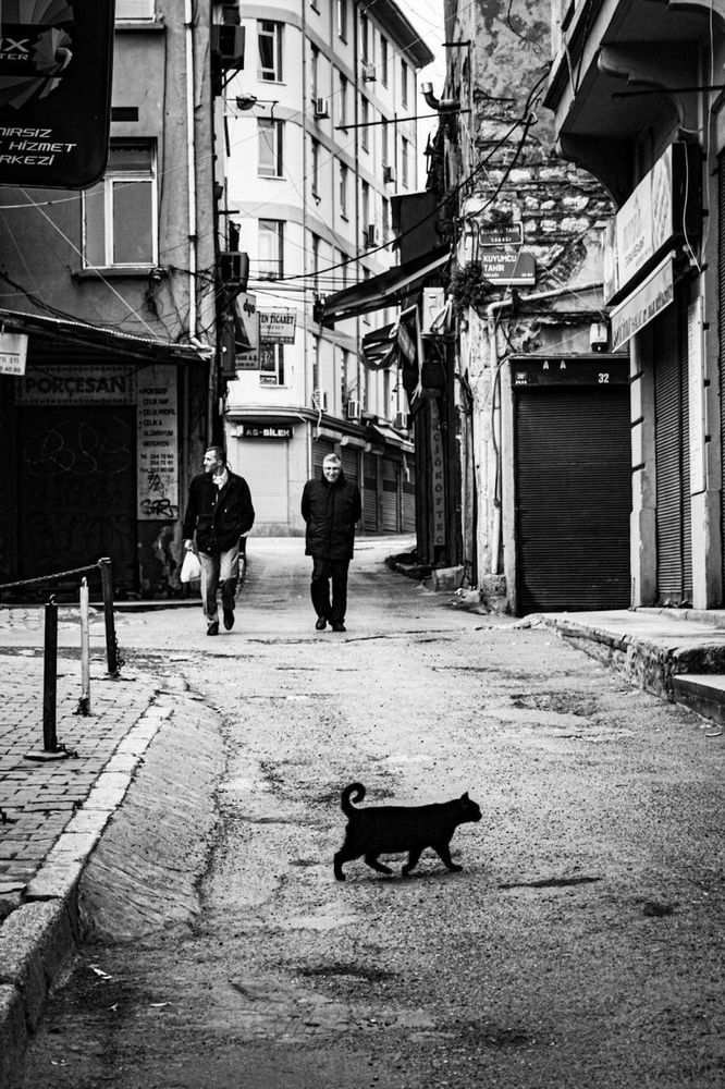 Photo by Esra Erdoğdu - A black cat strides across a quiet, narrow street in an old urban district, its silhouette contrasting against the worn pavement. Two men in dark coats walk in the background, their expressions neutral as they navigate the aged alley lined with shuttered storefronts and weathered buildings. The monochrome tones amplify the textures of the cracked walls, scattered wires, and uneven cobblestones, evoking a timeless, almost cinematic atmosphere.