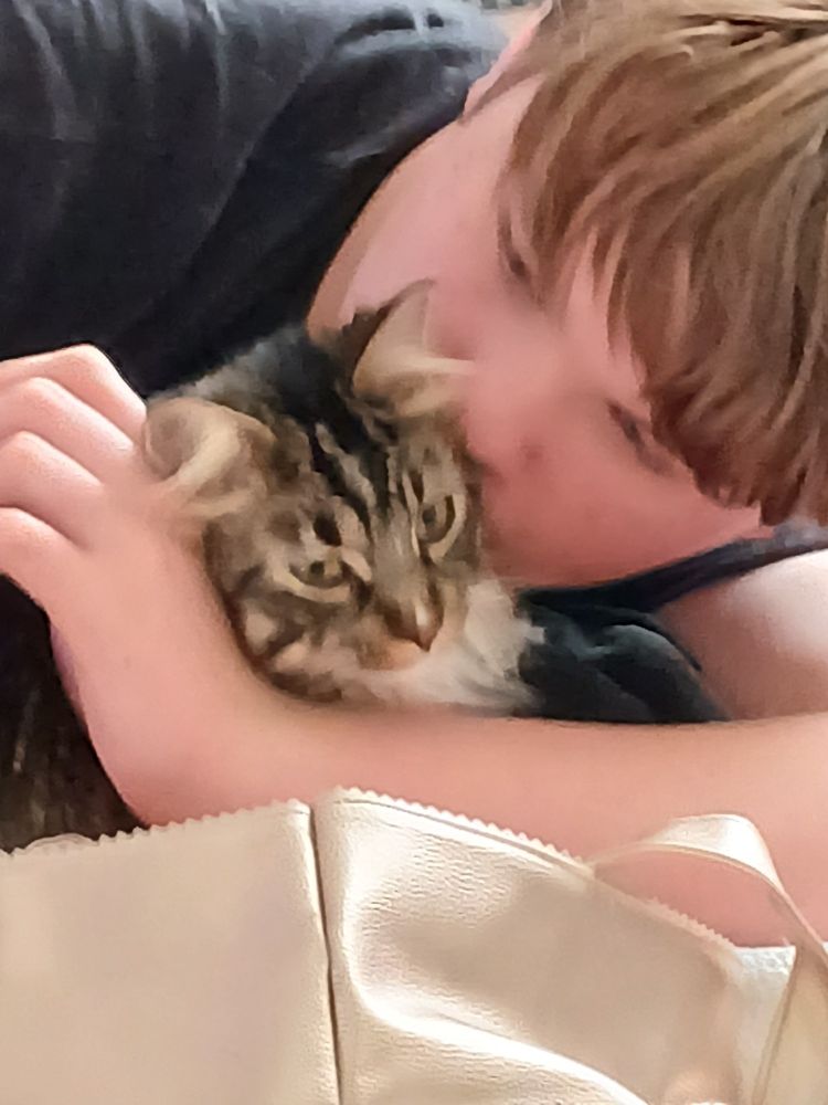 A young white man with light brown hair is cuddling a fluffy, tabby cat. He is gently kissing the cat on the head while holding it close. The cat has long fur with dark and light stripes and appears calm. A light-colored, shiny fabric object is visible in the foreground. The image has a soft, affectionate atmosphere.