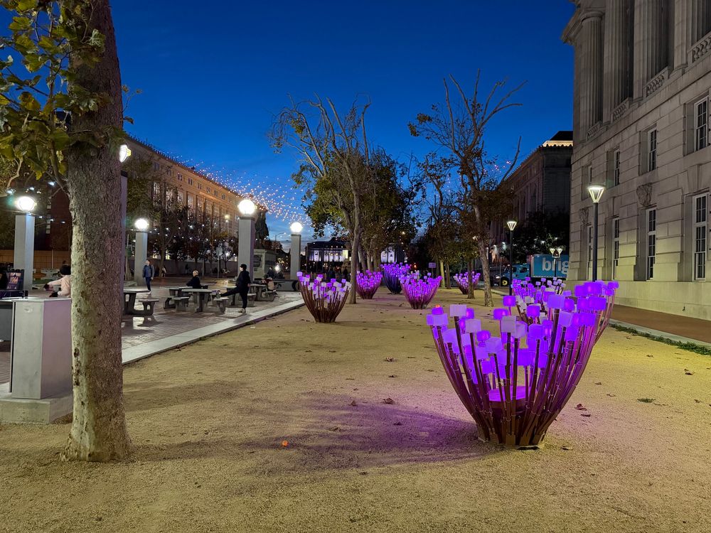 The “Enchanted” light installation (meant to resemble lilies) in UN Plaza at twilight
