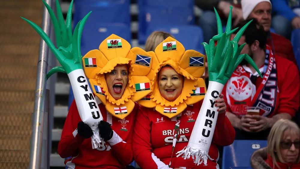 Welsh rugby fans with leeks 