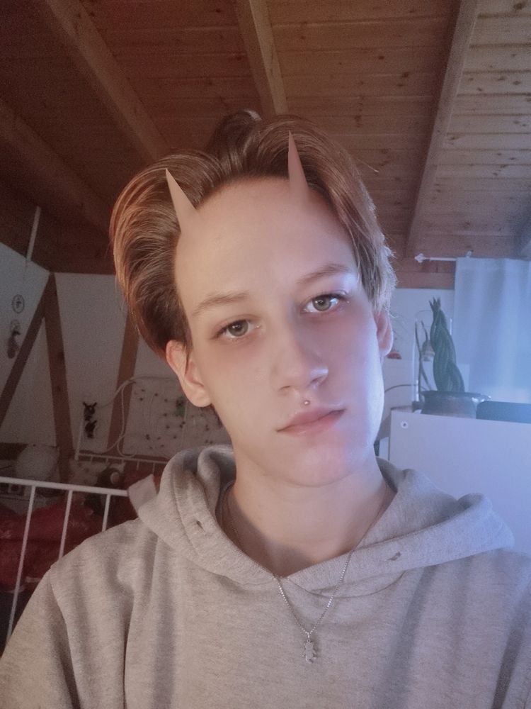 Selfie des Accounts Inhabers, in Einem grauen hoodie und kurzen Braunen Haaren 