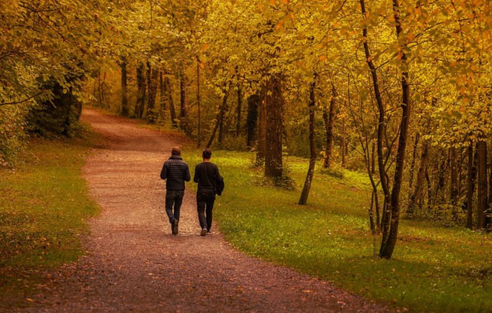 Deutschland – Spaziergänge gegen Einsamkeit gibt es jetzt auch für Männer - Die Mutmacherei