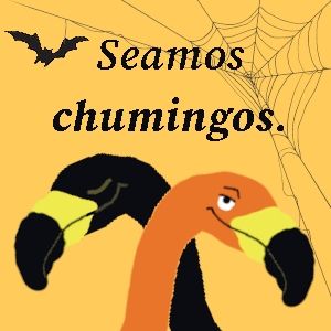 Un meme derivado de los spooky mingos del estilo tarjeta de san valentín donde aparecen dos flamencos cruzando sus cuellos y el texto: "Seamos chumingos."