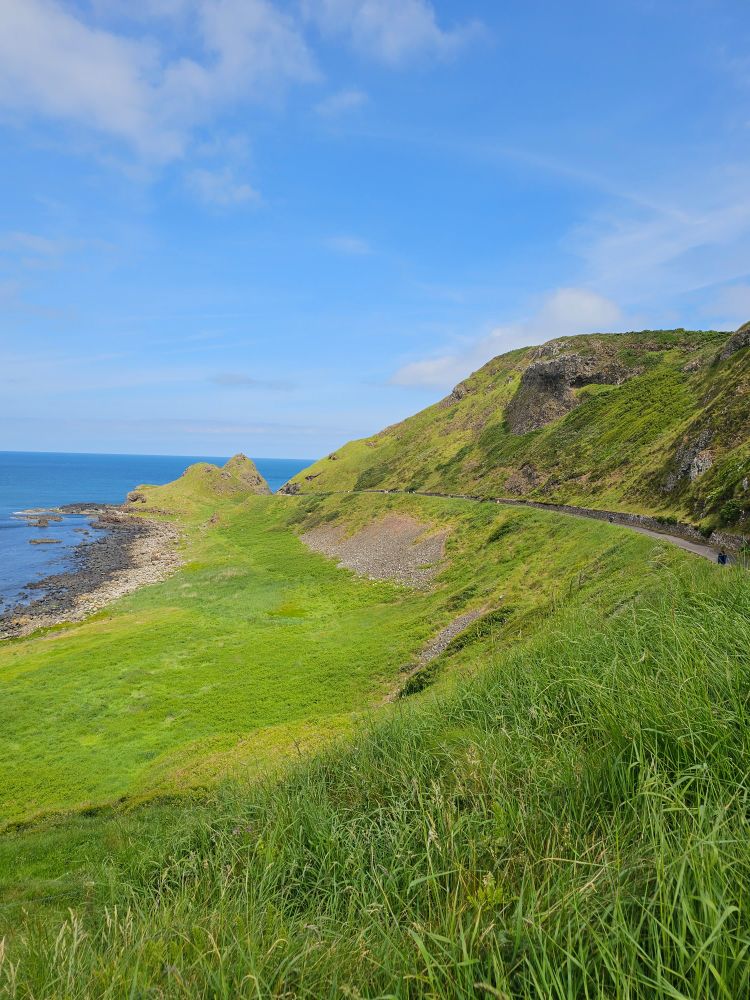 The green grass along the Giant's Causeway trail in Northern Ireland 