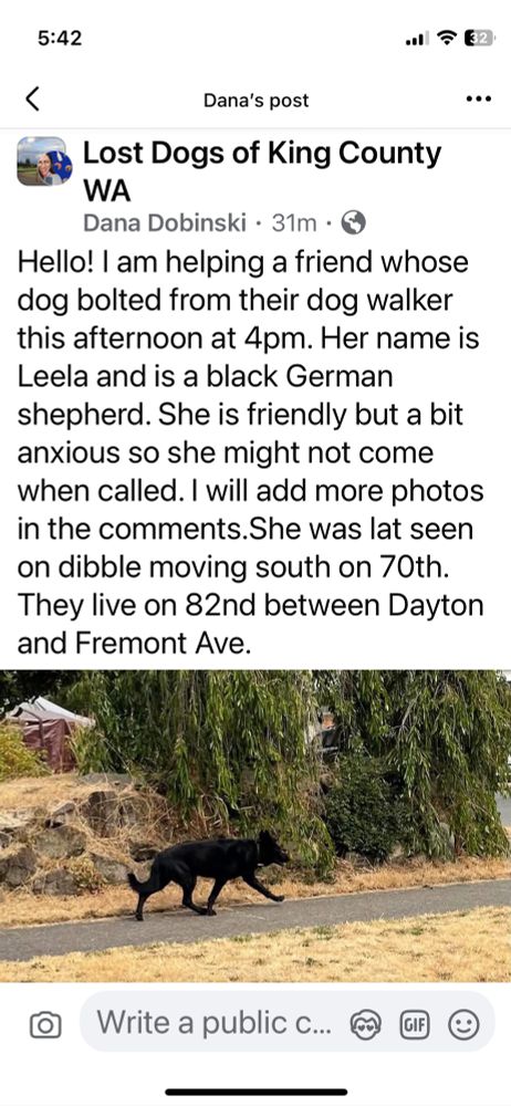 Lost Dogs of King County
WA
Dana Dobinski • 31m • ©
Hello! I am helping a friend whose dog bolted from their dog walker this afternoon at 4pm. Her name is Leela and is a black German shepherd. She is friendly but a bit anxious so she might not come when called. I will add more photos in the comments.She was lat seen on dibble moving south on 70th.
They live on 82nd between Dayton and Fremont Ave.

This is in our neighborhood. This pup is from our neighborhood. We wish we could help. Mom drove around and tried to spot it. 