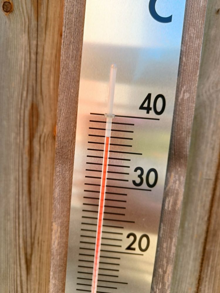Thermometer displaying 37°C