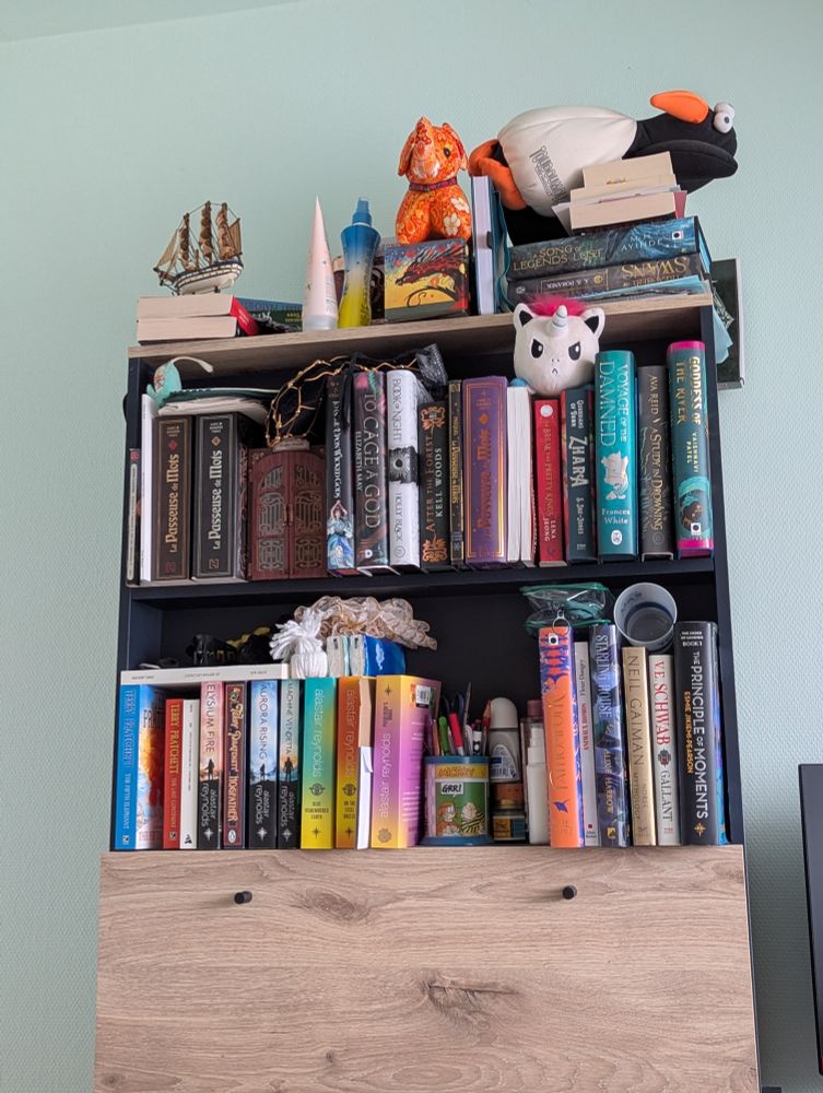 Étagère en fouillis avec un mélange de livres mal triés, quelques peluches et objets pour enfants mis hors de portée de mes nièces, en particulier un pingouin en peluche qui se faisait bully et qui tape sa meilleure sieste tout en haut de la pile 