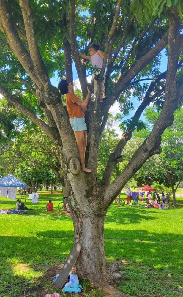 uma mulher adulta (eu) e uma criança escalando um pé de manga.