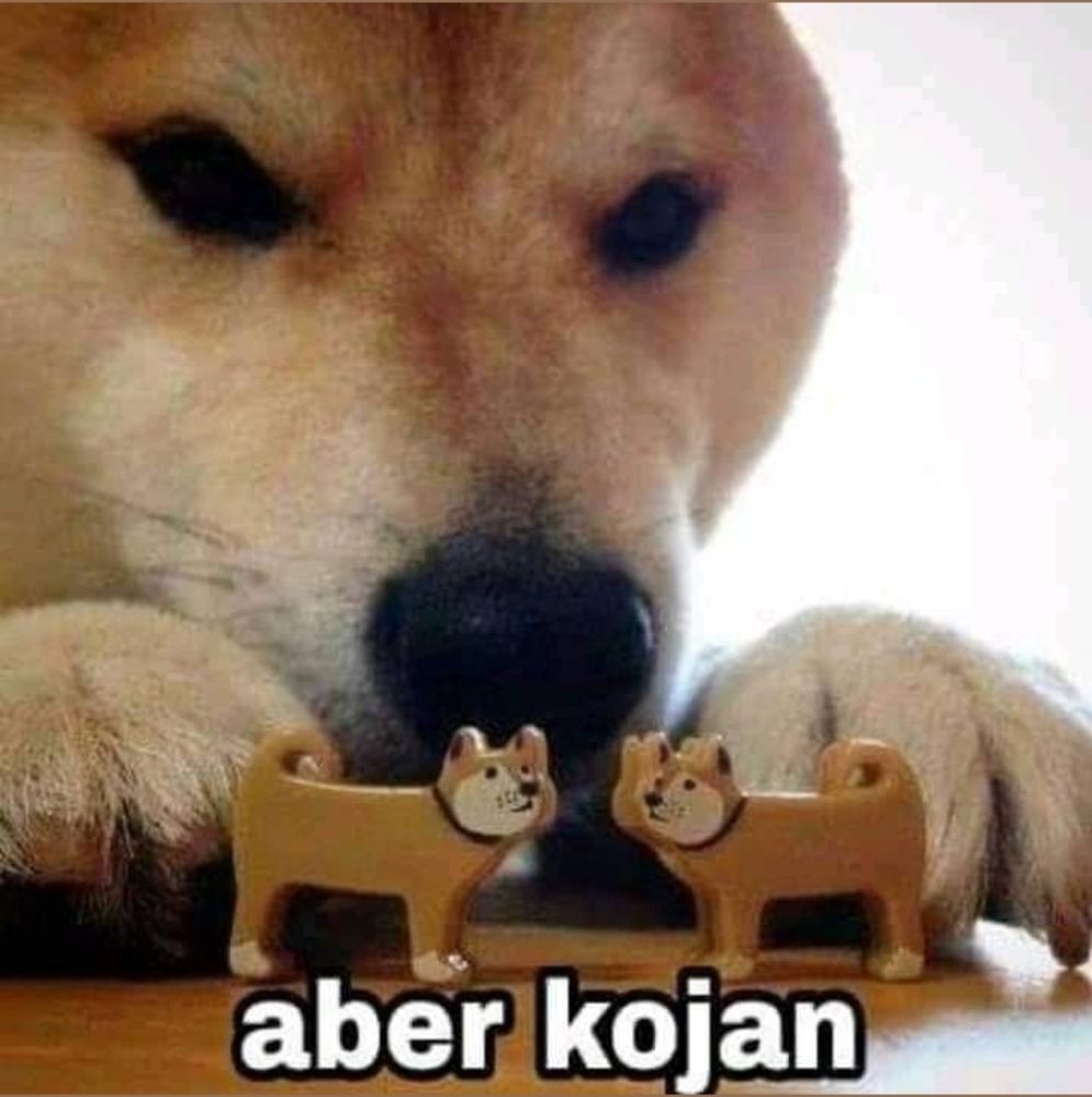 Es el meme del perrete que tiene dos muñequitos de perrete y pone "aber kojan"