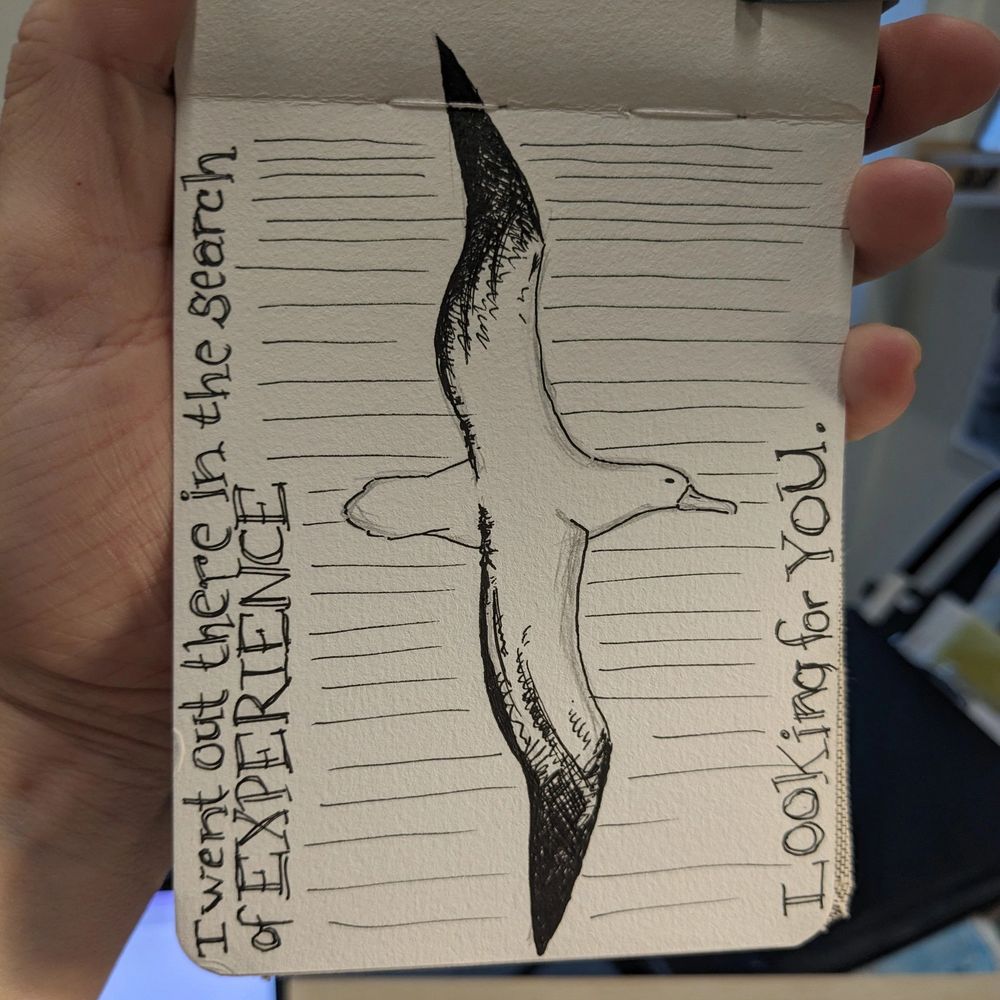 Ink Albatross in flight, wings stretched. Horizontal lines indicate movement. Text reads "I went out in search of experience. Looking for you"