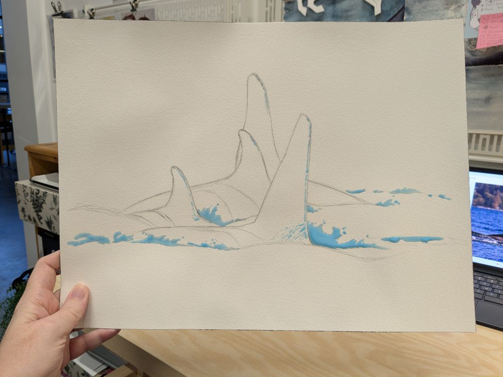 Drawing of a group of orca dorsal fins. Blue masking fluid covers anywhere that will later be white.