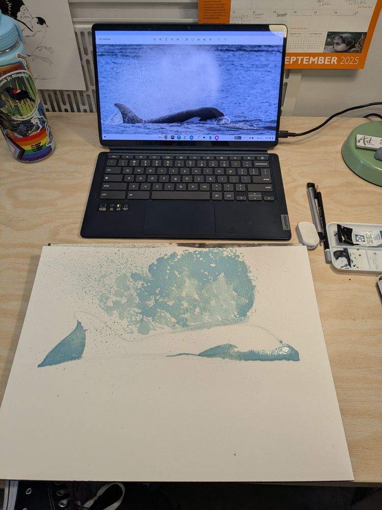 Light pencil sketch and blue masking fluid on a pad of paper in front of an open laptop showing a photo of an orca surfacing.