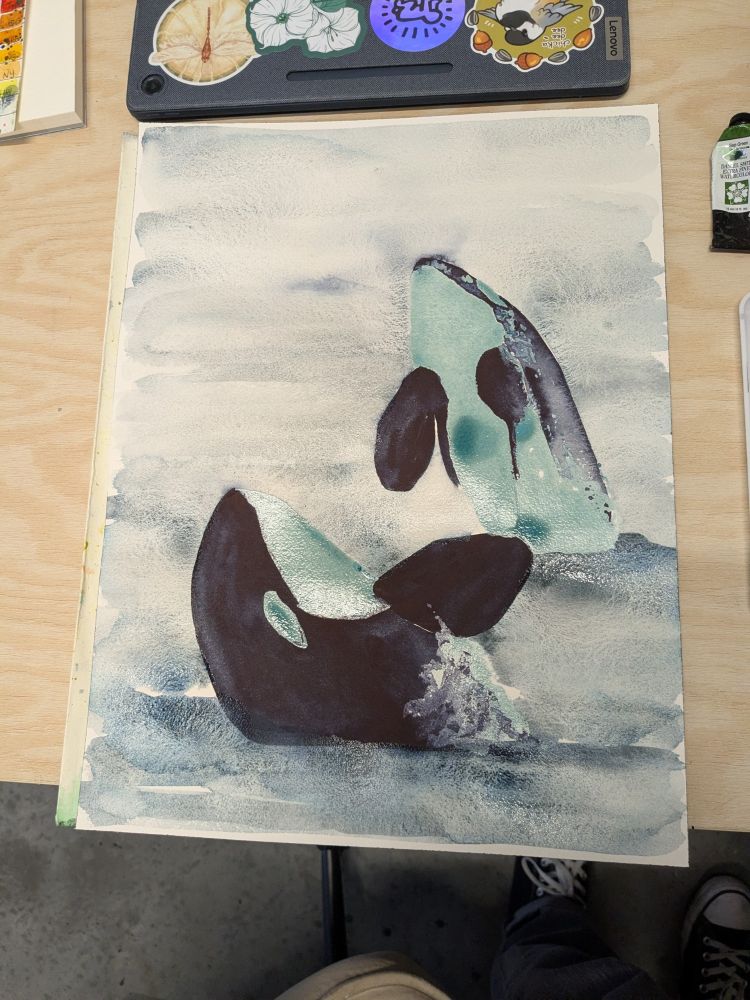 Watercolor painting in progress of two breaching orcas.