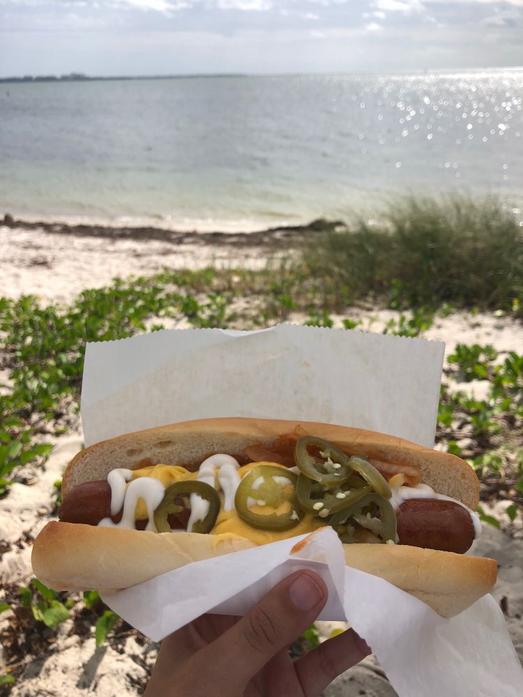 a hot dog on the beach with jalapeños cheese and mayo