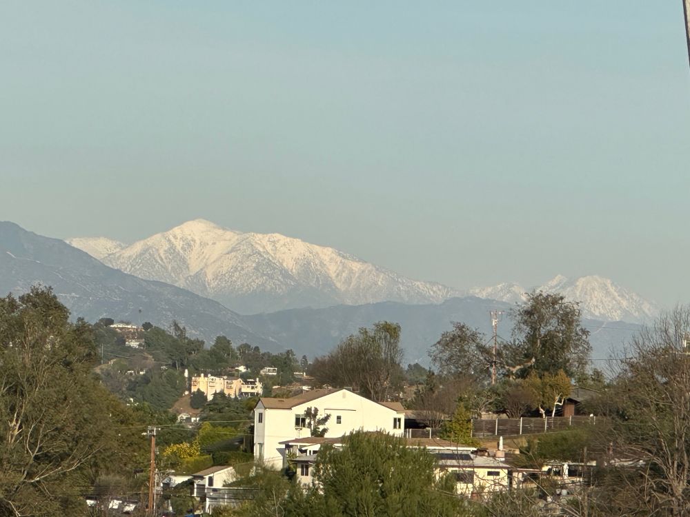 Picture of snowcapped mountains in the background with trees and homes in the foreground. 