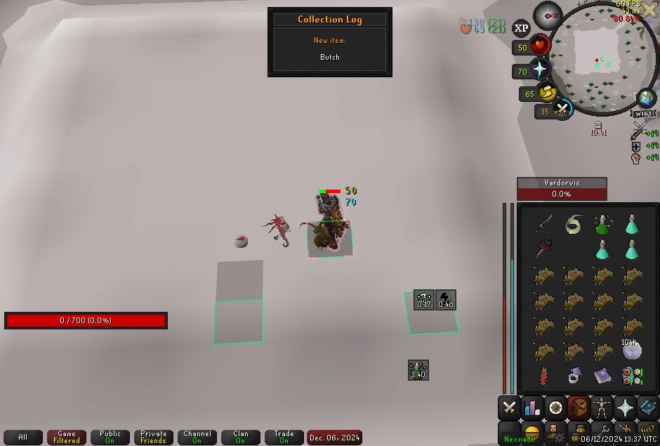 My oldschool runescape character standing at the middle of Vardorvis' arena with the Butch pet appearing next to me, with a collection log entry.