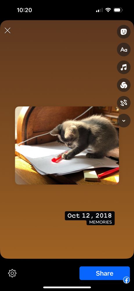 A tiny gay kitten plays with a red pen on a piece of paper.