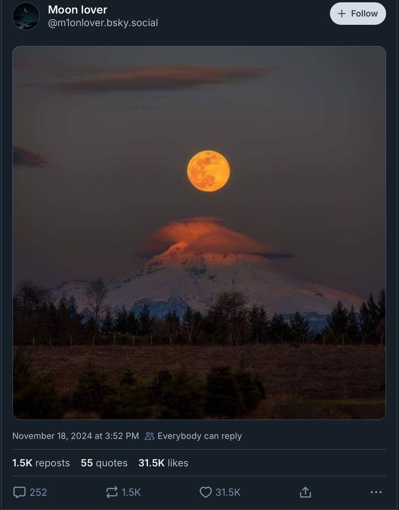 I’m not describing this image as it’s likely posted in violation of copyright. 