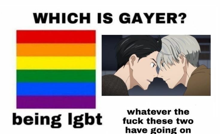 Photo asking Which Is Gayer Being LGBT or Whatever The Fuck Viktor and Yuuri from Yuri on ice got going on