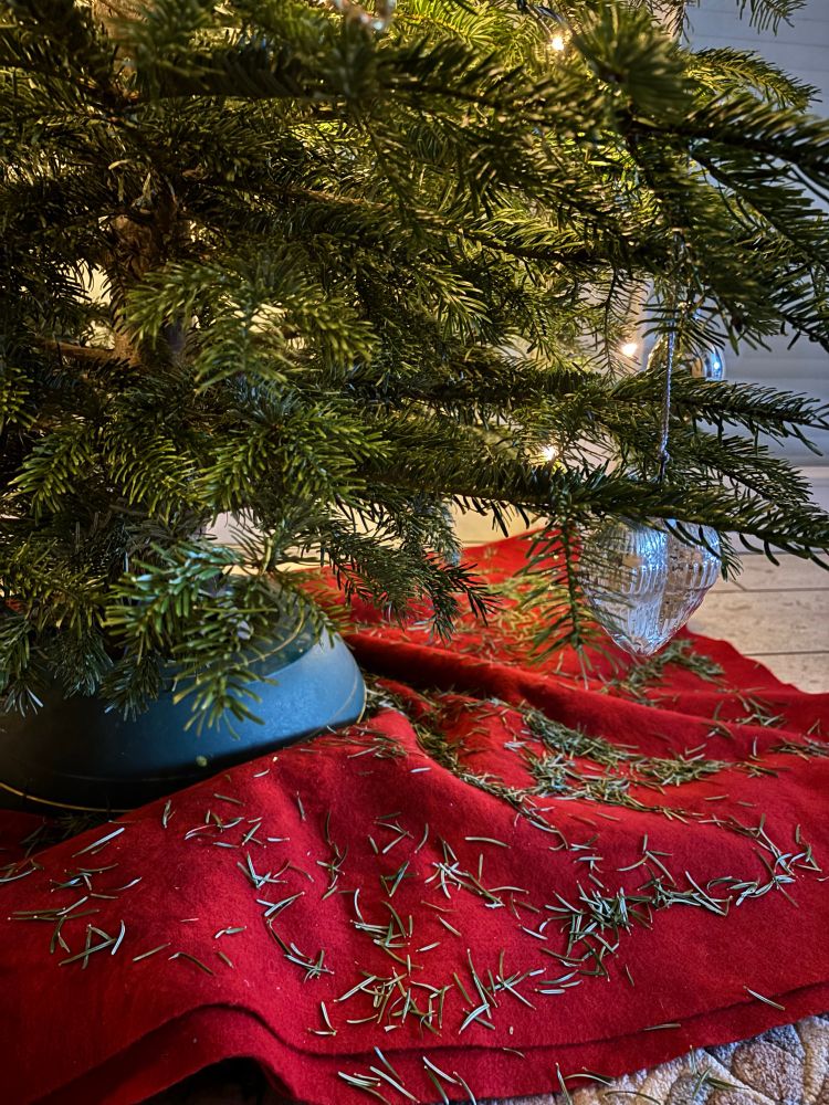 Man sieht den unteren Teil eines Weihnachtsbaums. Die rote Decke unter dem Baum ist voller Tannennadeln. 