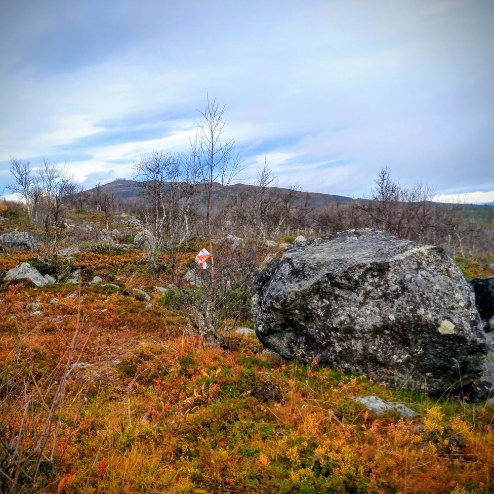 Luossavaara in the distance, foreground is autumn coloured scrub, rocks, and a small orange and white paper maker hanging from a small tree. Cloudy day.