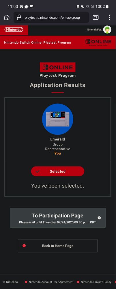 Application page for the Nintendo Switch Online Playtest Program showing that I've been selected