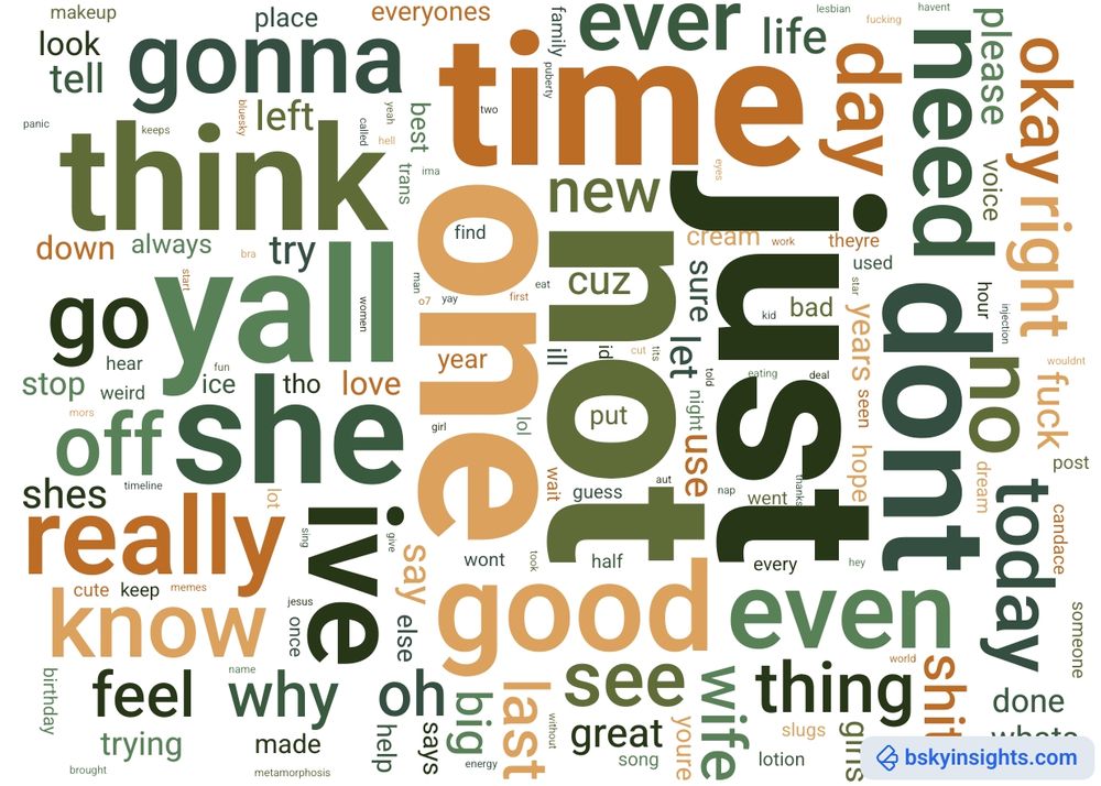 bskyinsights.com word cloud for my account