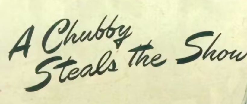 A chubby steals the show