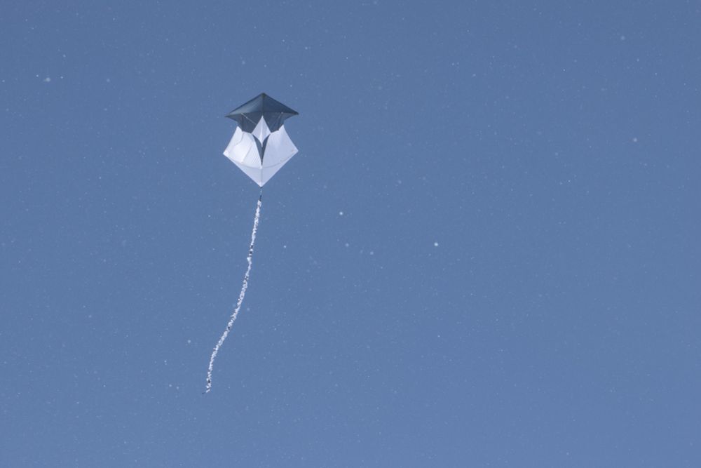 A flying navy and white hexagonal kite with a navy and white fuzzy tail with a clear blue sky in the background.
