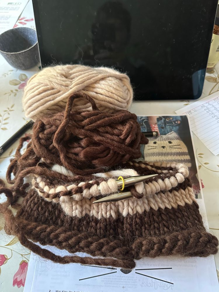 Bulky yarn in light tan and brown with a pattern in the background showing a cat stuffy. The yarn is being knitted in the round on large needles. 