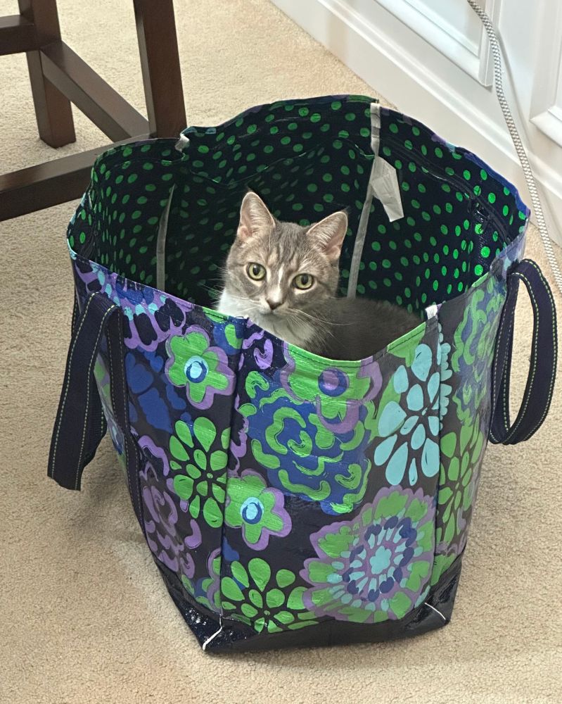 A gray and white cat is sitting in a bag decorated with stylized green, purple, and blue flowers on the outside and polka dots on the inside.