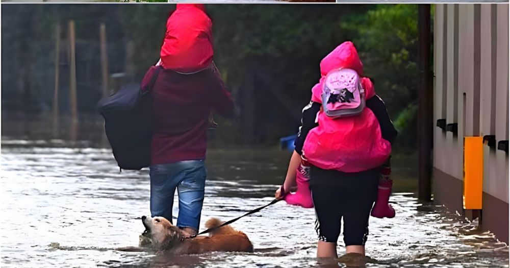 European Countries Grapple with Flooding, Aircraft Deployed for Rescue Operations