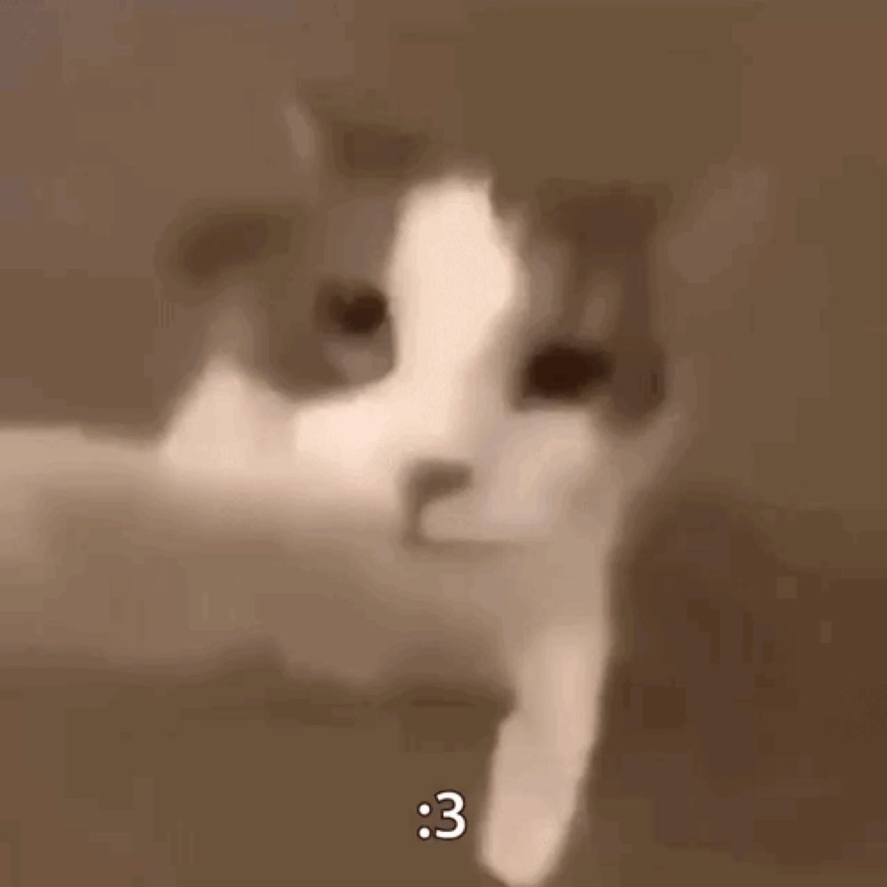 a close up of a cat 's face with the number 3 visible .