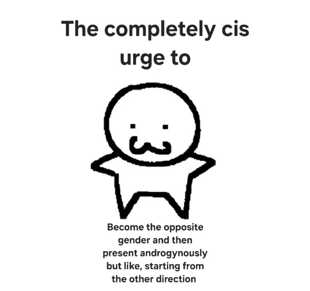 Text with a crude simple drawing of a person

"The completely cis urge to become the opposite gender and then present androgynously but like, starting from the other direction" 