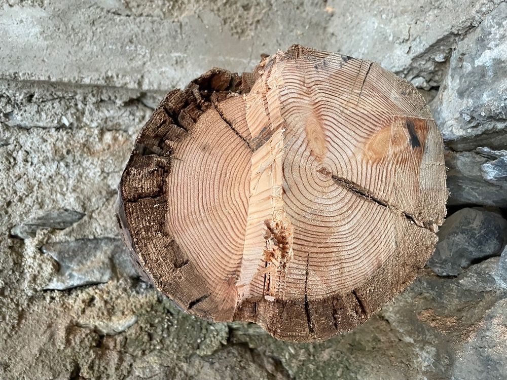 A freshly cut log-beam set into a stone wall.